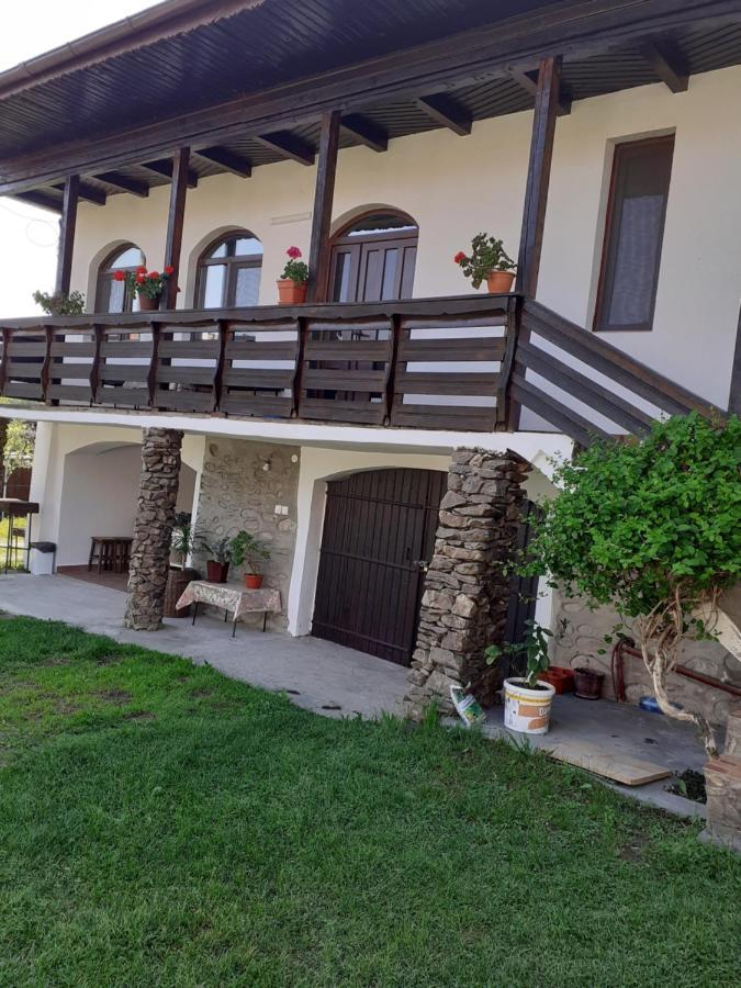 Casa De Vacanta Mirela Novaci-Străini Eksteriør billede