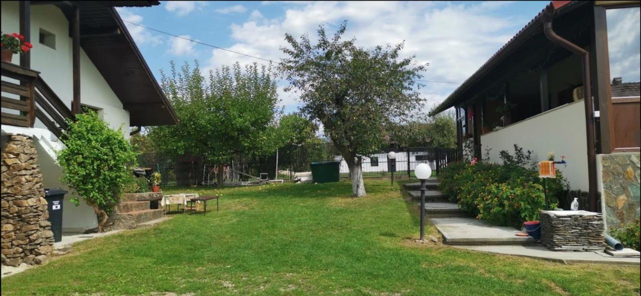 Casa De Vacanta Mirela Novaci-Străini Eksteriør billede