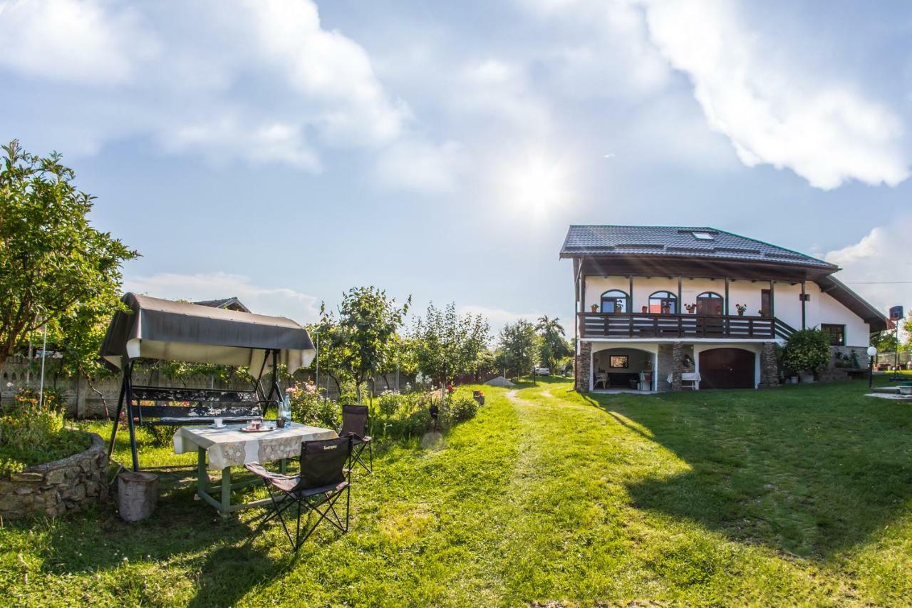 Casa De Vacanta Mirela Novaci-Străini Eksteriør billede